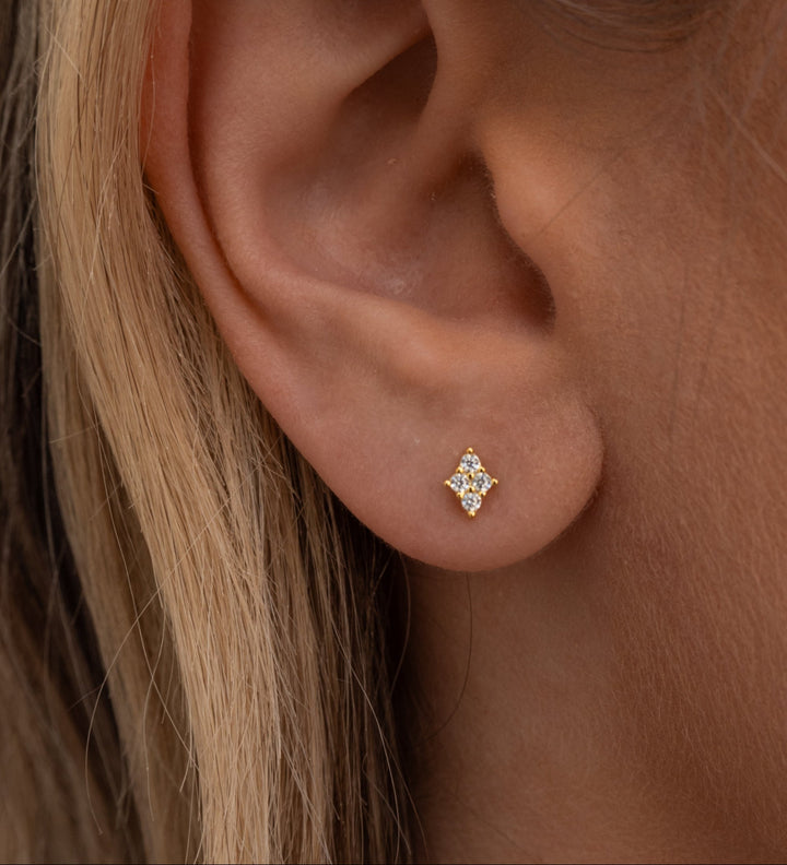 Alice Studs