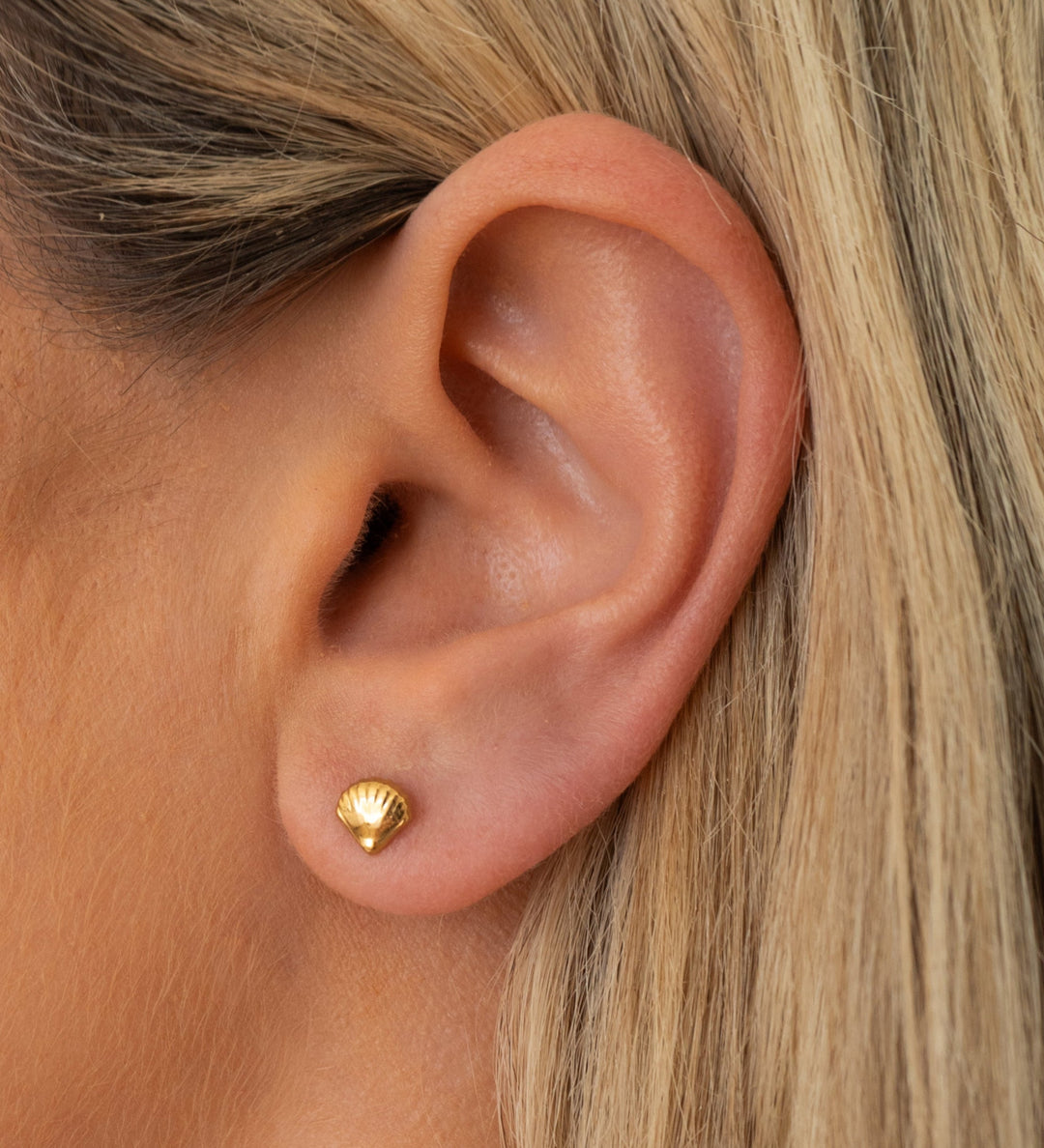 Shell Studs | Gold