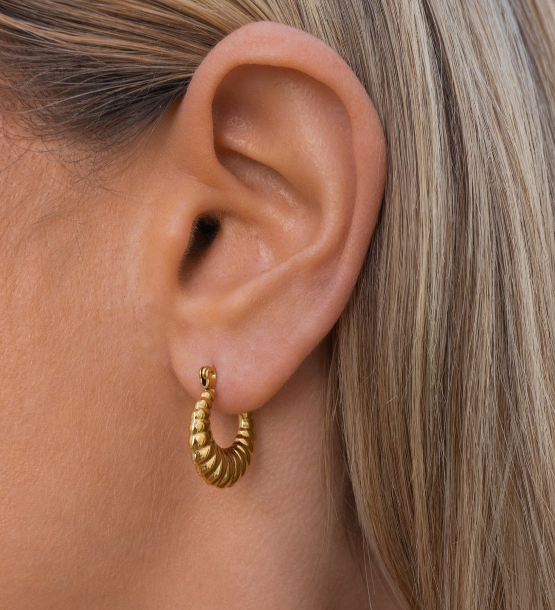 Zara Hoops | Small